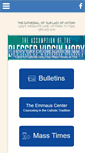 Mobile Screenshot of olvcathedral.org
